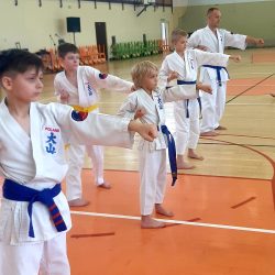 Sztuki walki uczą cierpliwości i konsekwencji