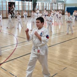 Trening karate dla młodzieży i dorosłych – rozwija ciało i charakter